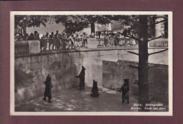BERN - Bärengraben - 1932