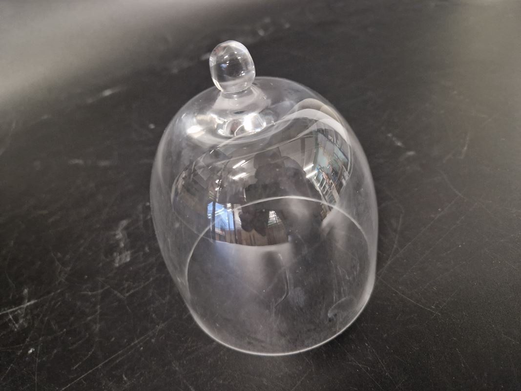Verres: Transparente Glocke – D'occasion à Muhen par Restwert_Muhen 4