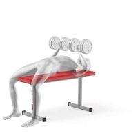 K-Sport KSH023 Hantelbank Trainingsbank