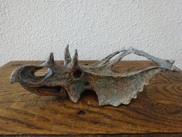 Skulptur Saurier Schädel / Drachen
