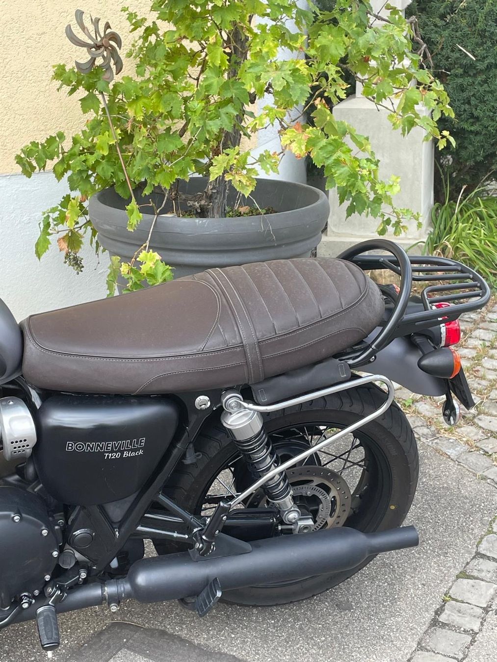 Triumph Strasse: Triumph Bonneville T120 Black – Gebraucht aus Hombrechtikon von mae_7rrz 1