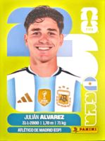 Carte FIFA World Cup 2026 ARG 19