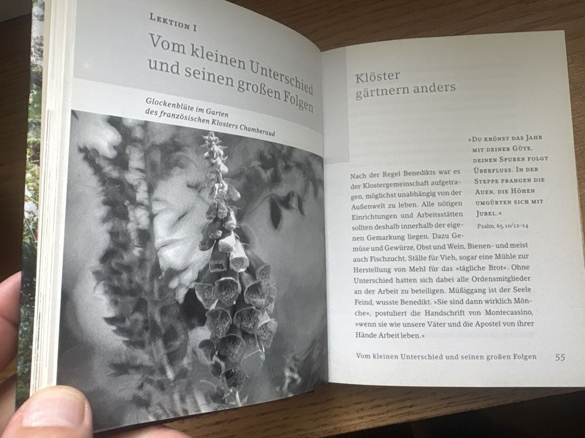 Libri: Die Gärten der Mönche: Bibliothek der Mönche – Nuovo (secondo la descrizione) da Schaffhausen venduto da Reporter 3