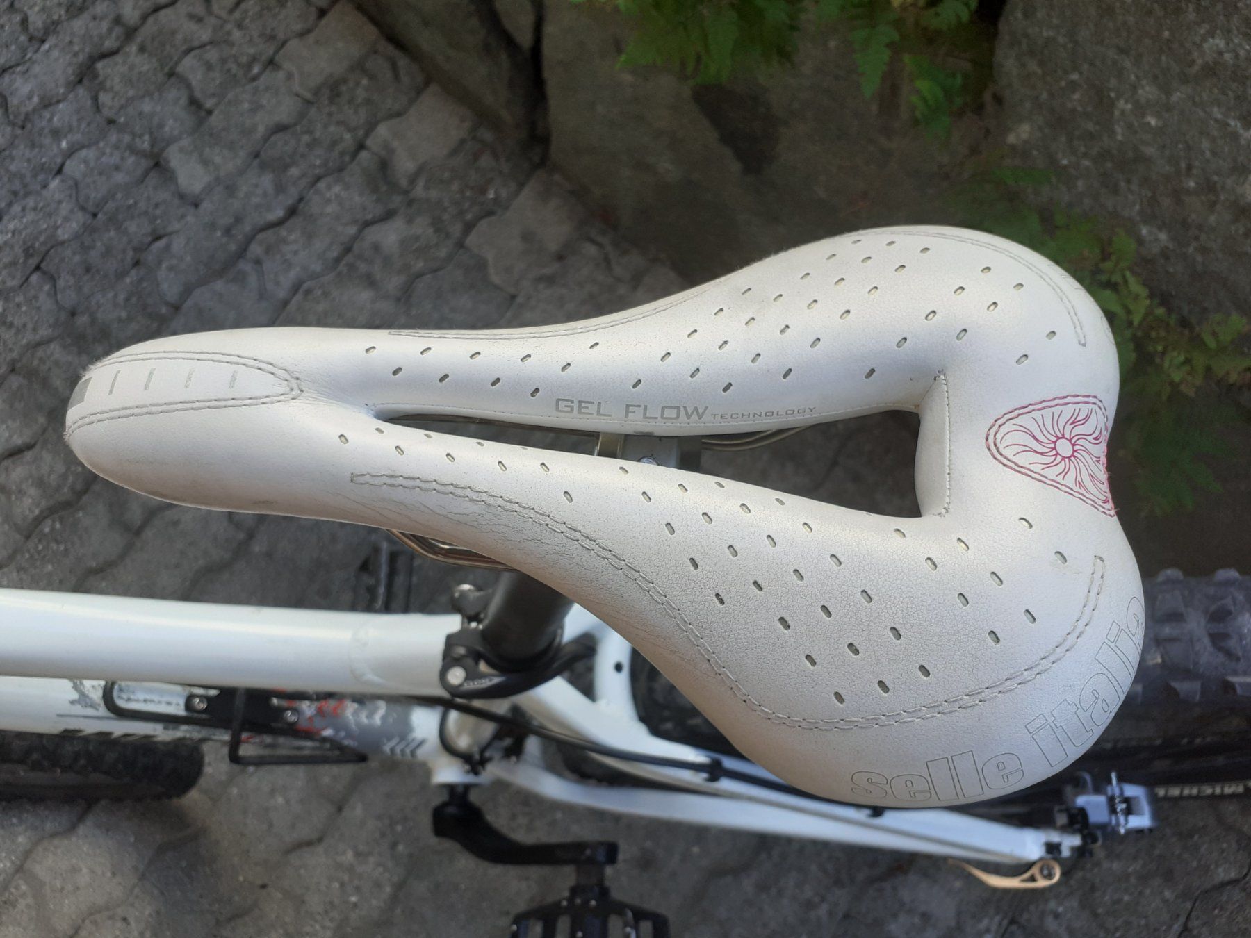 Wheeler Biciclette: MTB Wheeler Buddy 01 – Usato da Cazis venduto da Lucio05 7