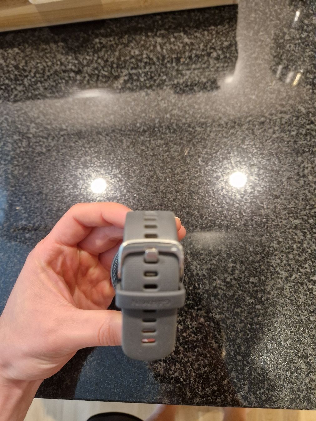 Garmin Smartwatch: Garmin vivoactive 4 Smartwatch mit charging cable – Usato da Thayngen venduto da jes_w6sf 1