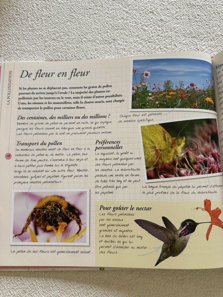 Libri: Les fleurs – Usato da Les Bioux venduto da ann_g9bh 3