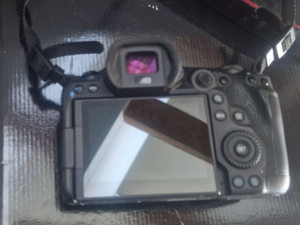 Canon Kamera: Canon EOS R5 – Gebraucht aus Schinznach-Dorf von Fenny1 1