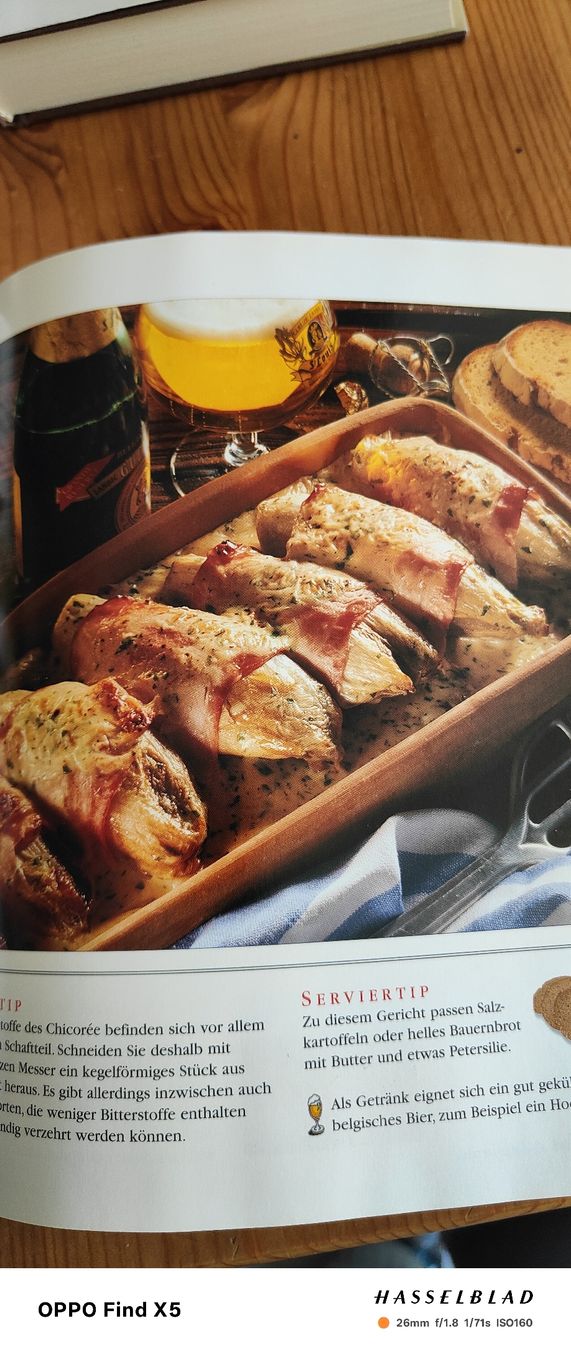 Libri: Aufläufe und Gratins – Usato da Volken venduto da katz5 5
