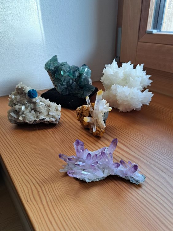 Fityle Gesteins- Und Mineraliensammlung Für Kinder – Edelstein-Set Zum Ausgraben & Lernen (Stil D)