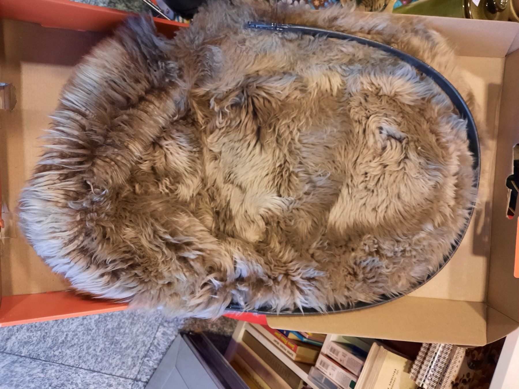 Stokke Carrozzine: Stokke sheepskin Lining – Usato da Biasca venduto da Old_6blh 2