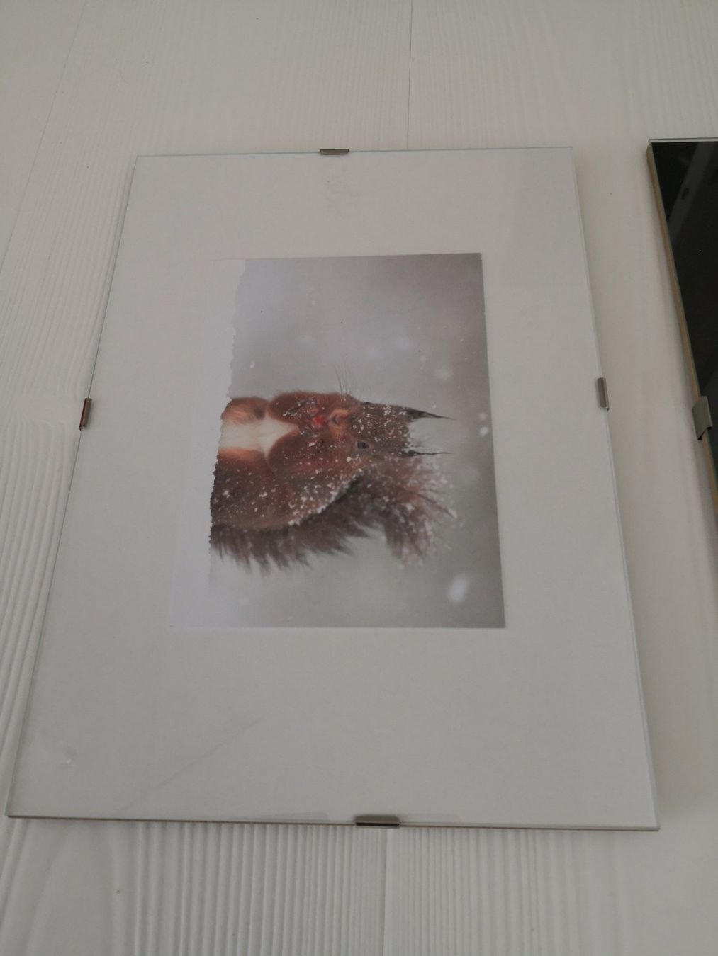 Foto & Immagini: 🤩GLAS-BILD - WECHSELRAHMEN SCHWARZ ODER WEISS – Nuovo (secondo la descrizione) da Olten venduto da Naja-Twins-Twins 2