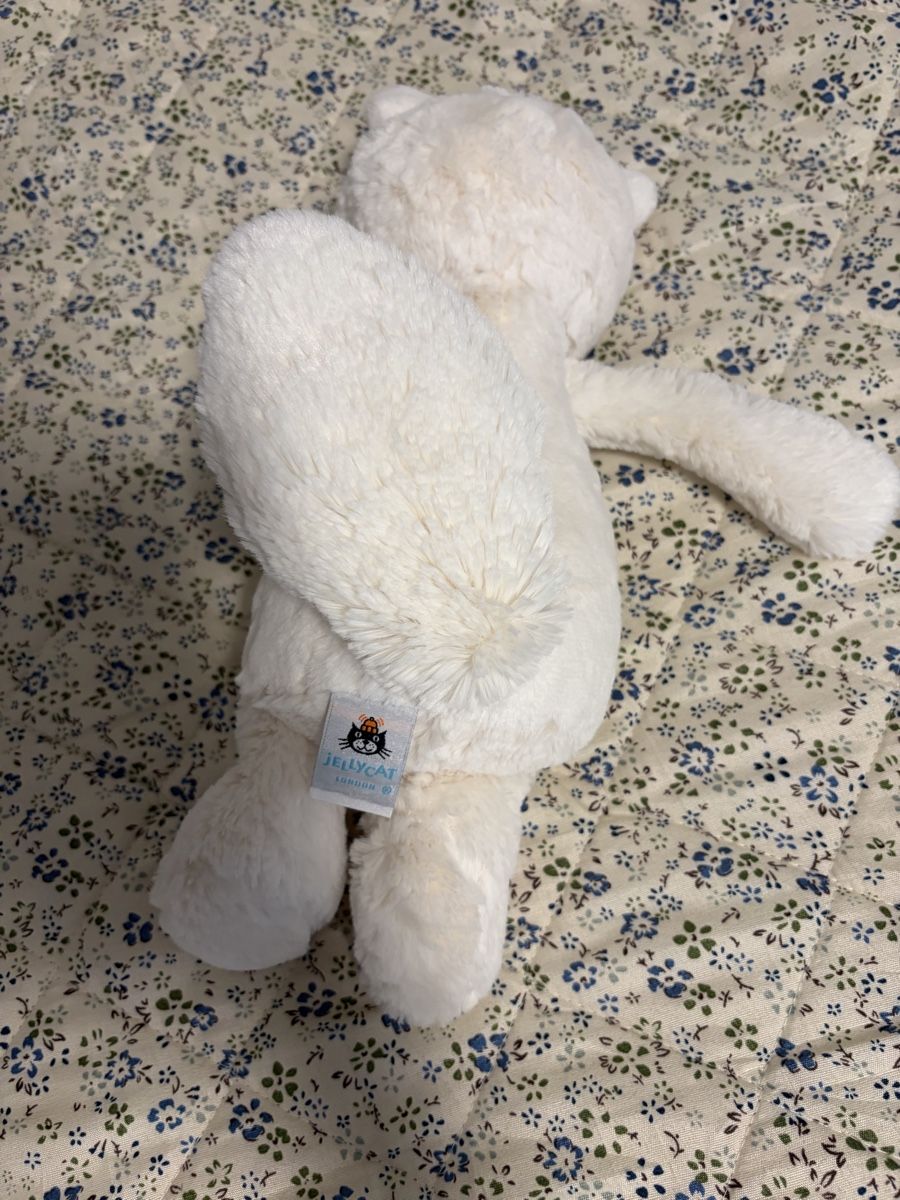 Jellycat Spielzeuge: Jellycat Polarfuchs – Neu (gemäss Beschreibung) aus Spreitenbach von ern_bv7n 1