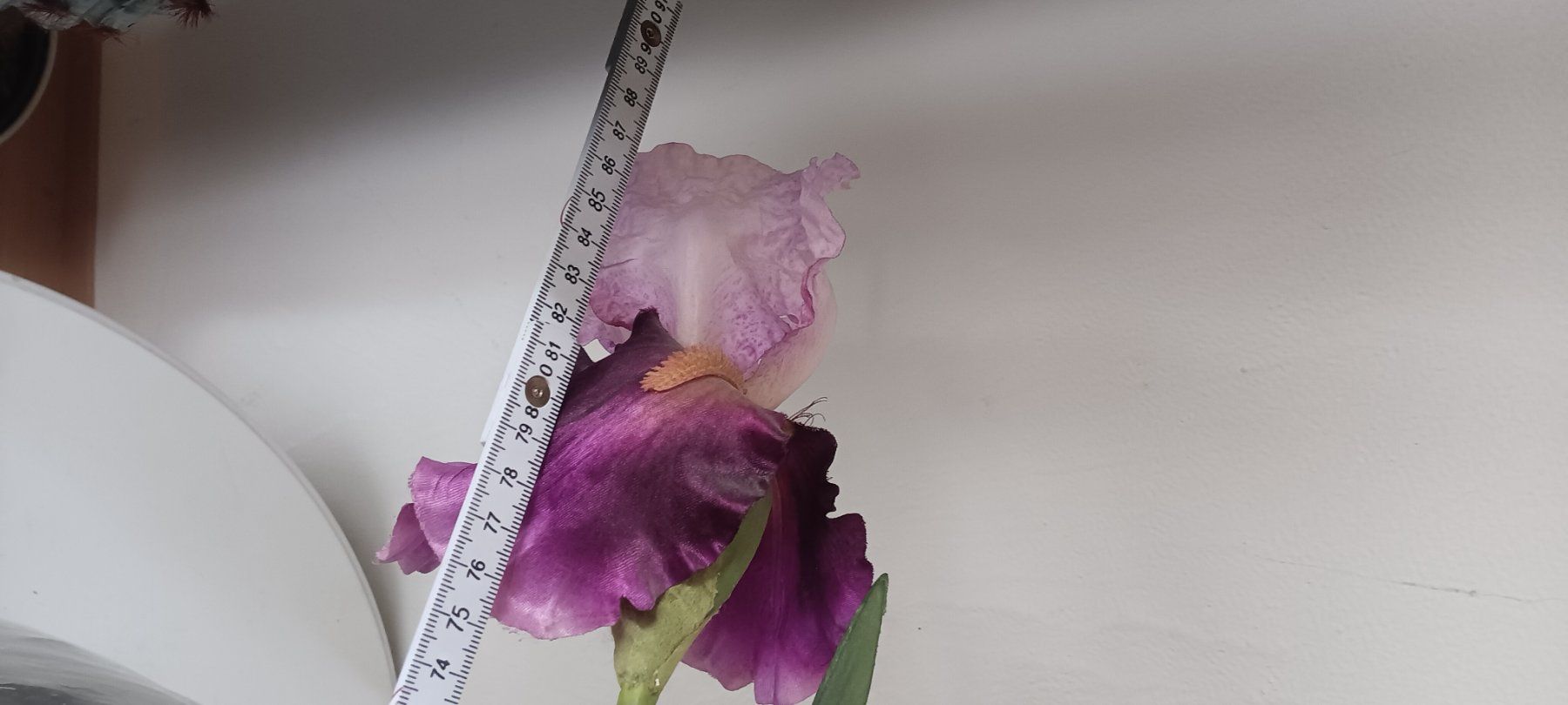 Globus Tutte le decorazioni: Stoffblumen 11 Stk.vom Globus, neu! – Nuovo (secondo la descrizione) da Maienfeld venduto da Andyr44 4