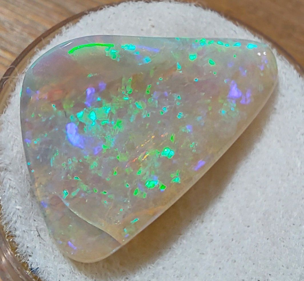 Edelsteine: Opal (opalisiertes Muschelstück) – Neu (gemäss Beschreibung) aus Klingnau von Tamina5 2