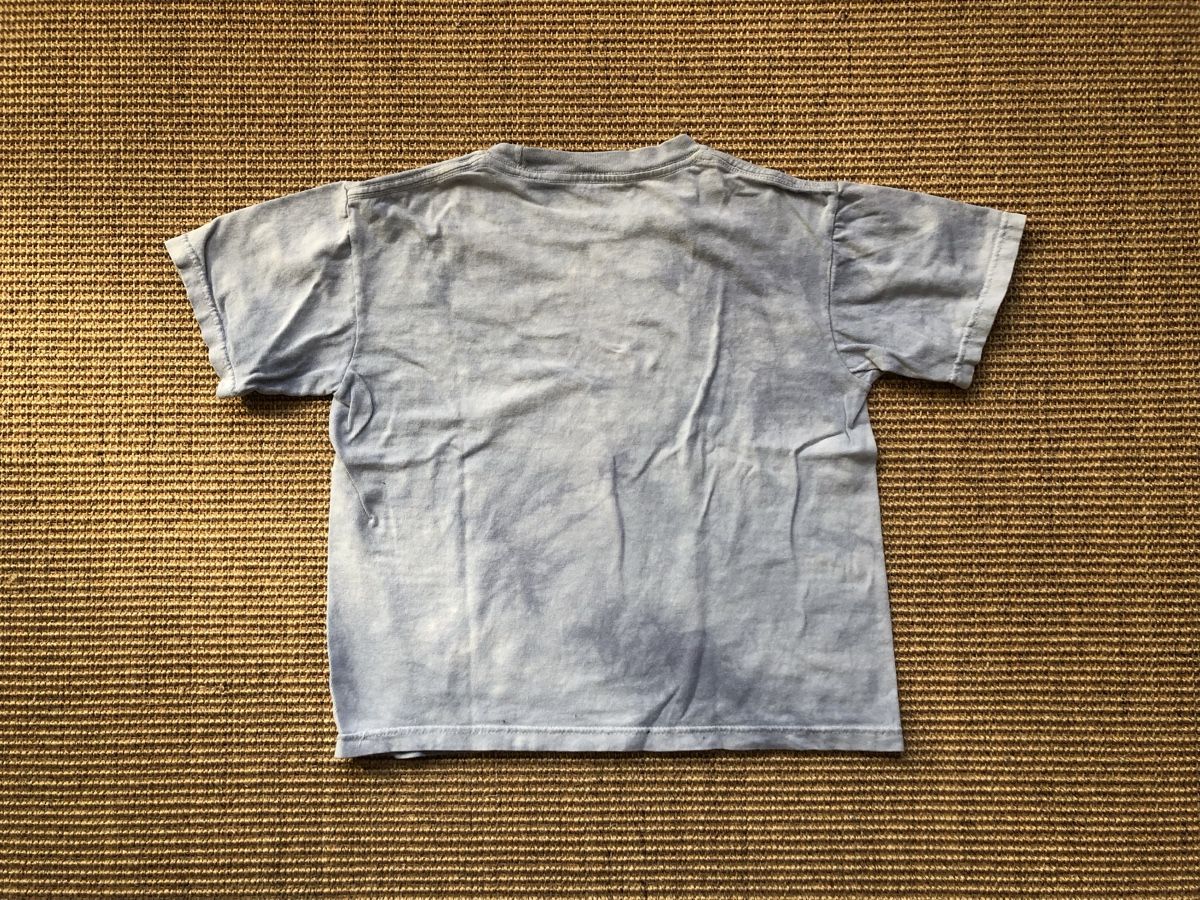 Hemden, T-Shirts & Polos: Batik Dinosaurier T-Shirt Grösse 128 – Gebraucht aus Zürich von EliseSchmitz 2