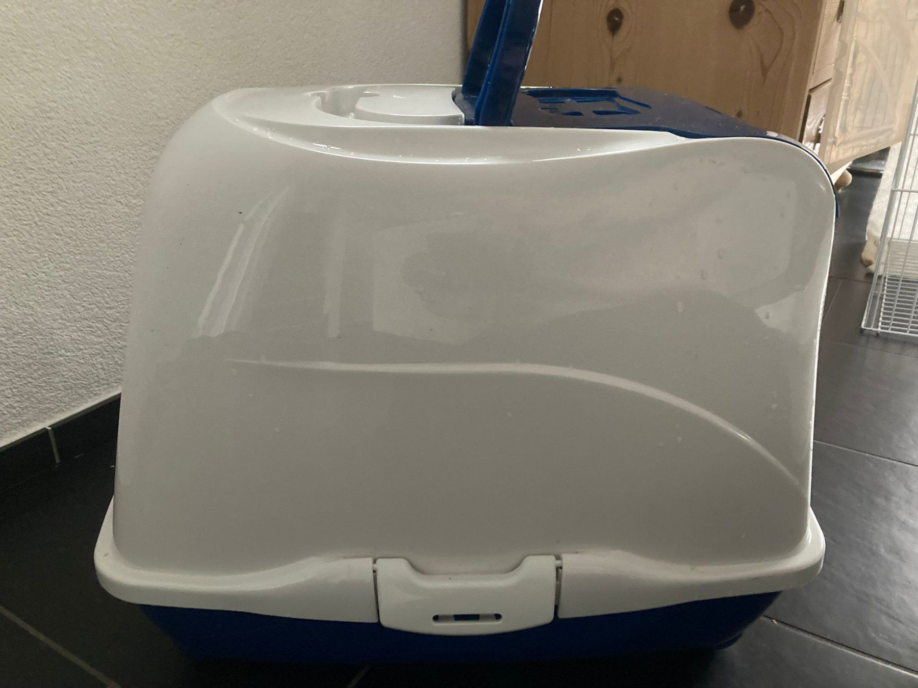Cucce & Letti: Tiertransportbox – Usato da Dottikon venduto da Wolf83 2
