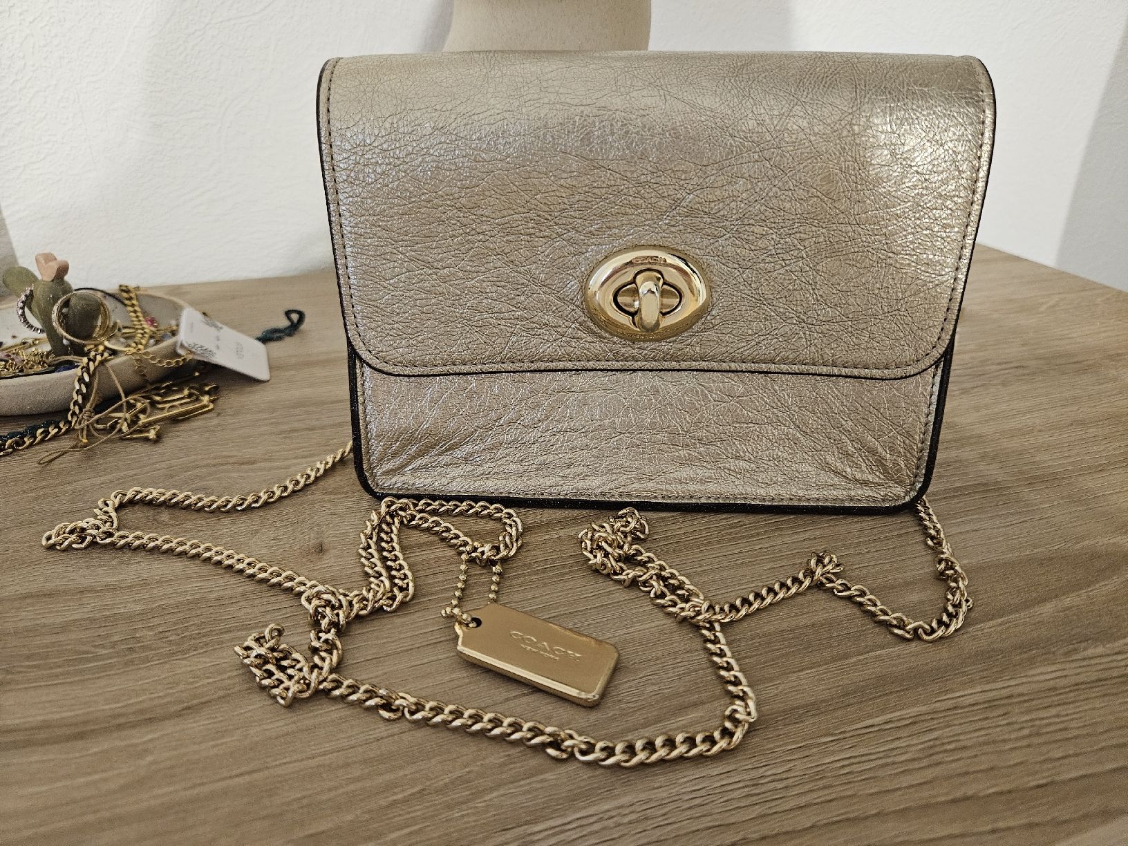 Coach Sonstige Kleidung & Accessoires: Sac Coach – Gebraucht aus Tenero von cel_bp7g