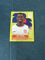 Panini Usa12