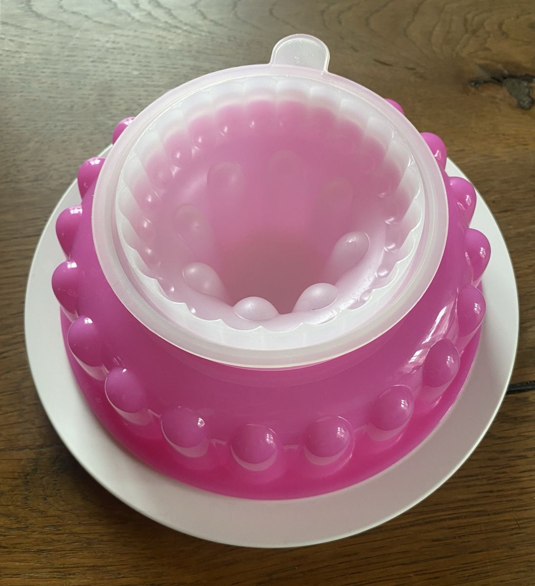 Tupperware Teglie da forno: Tupperware Wackelpudding/Kuchenbehälter – Usato da Oftringen venduto da Nessaja86