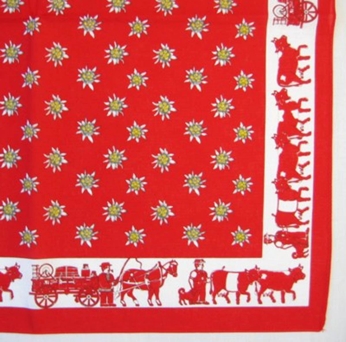 Altro in  Abbigliamento & Accessori: Nickituch, Bandana, Gesichtsschutz – Nuovo e nell'imballaggio originale da Appenzell venduto da Jenzler