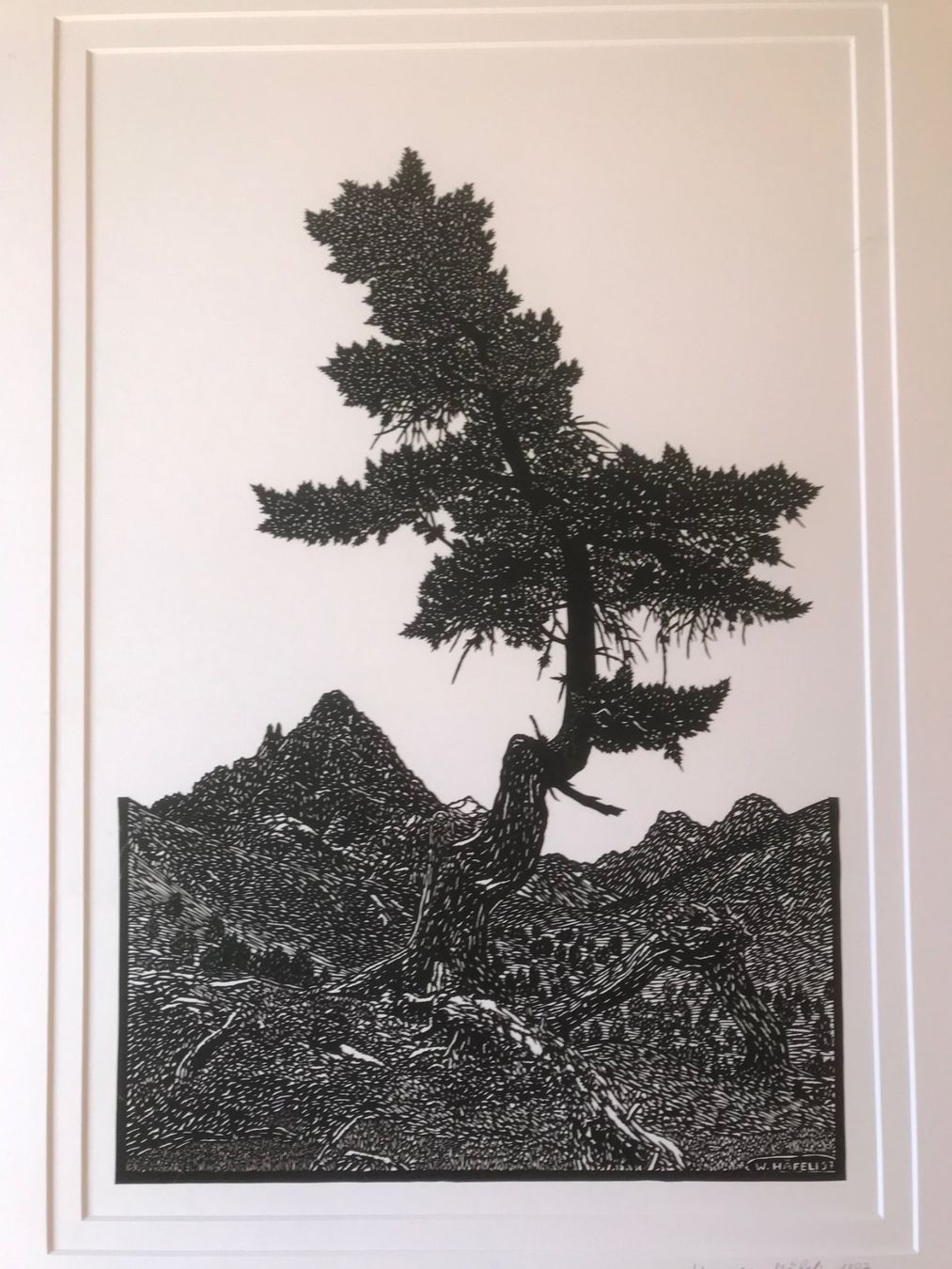 Grafica & Litografie: Rarität werner Häfeli Scherenschnitt – Nuovo (secondo la descrizione) da Oberhelfenschwil venduto da jerryopa