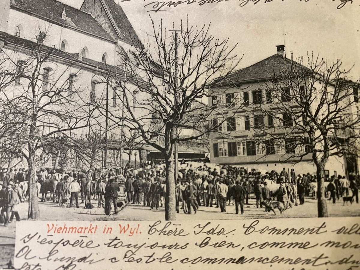 Cartoline postali: Seltene Karte Wil Viehmarkt – Usato da Mosnang venduto da Goldwasser 1