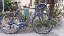 De Rosa Protos 