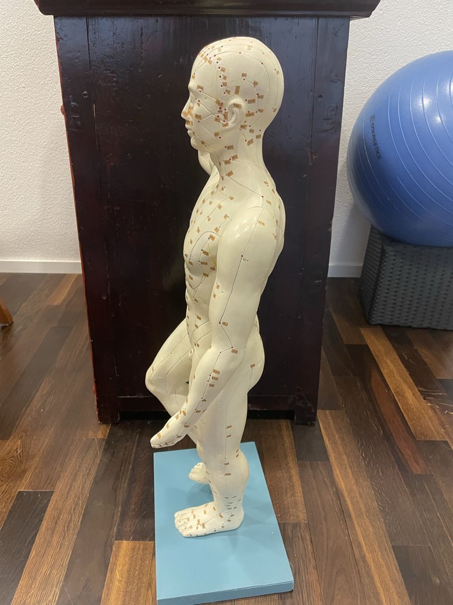 Kit di modellismo & Modellini statici: Akupunkturmodell, ca. 75cm. gross, Holz – Usato da Hochdorf venduto da FlordeCebo 1