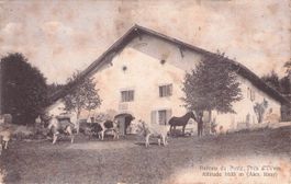 Les Prés d'Orvin // ca. 1905 Bureau de Poste vaches