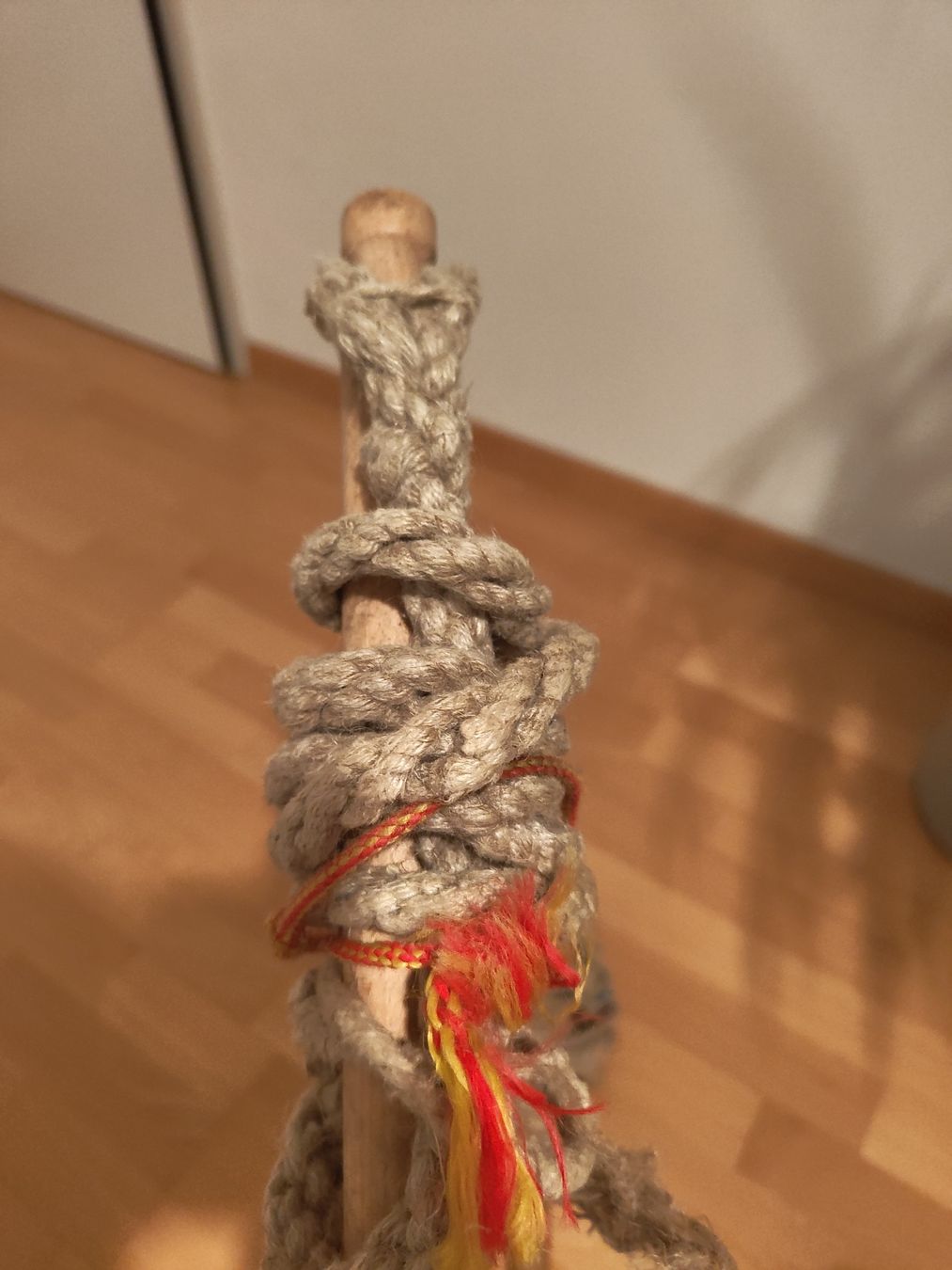 Altro in Accessori per animali: Geisseln  – Difettoso da Luzern venduto da kellmo 1