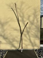 Schwemmholz "Y" / Treibholz Ast Y-Form 170 cm