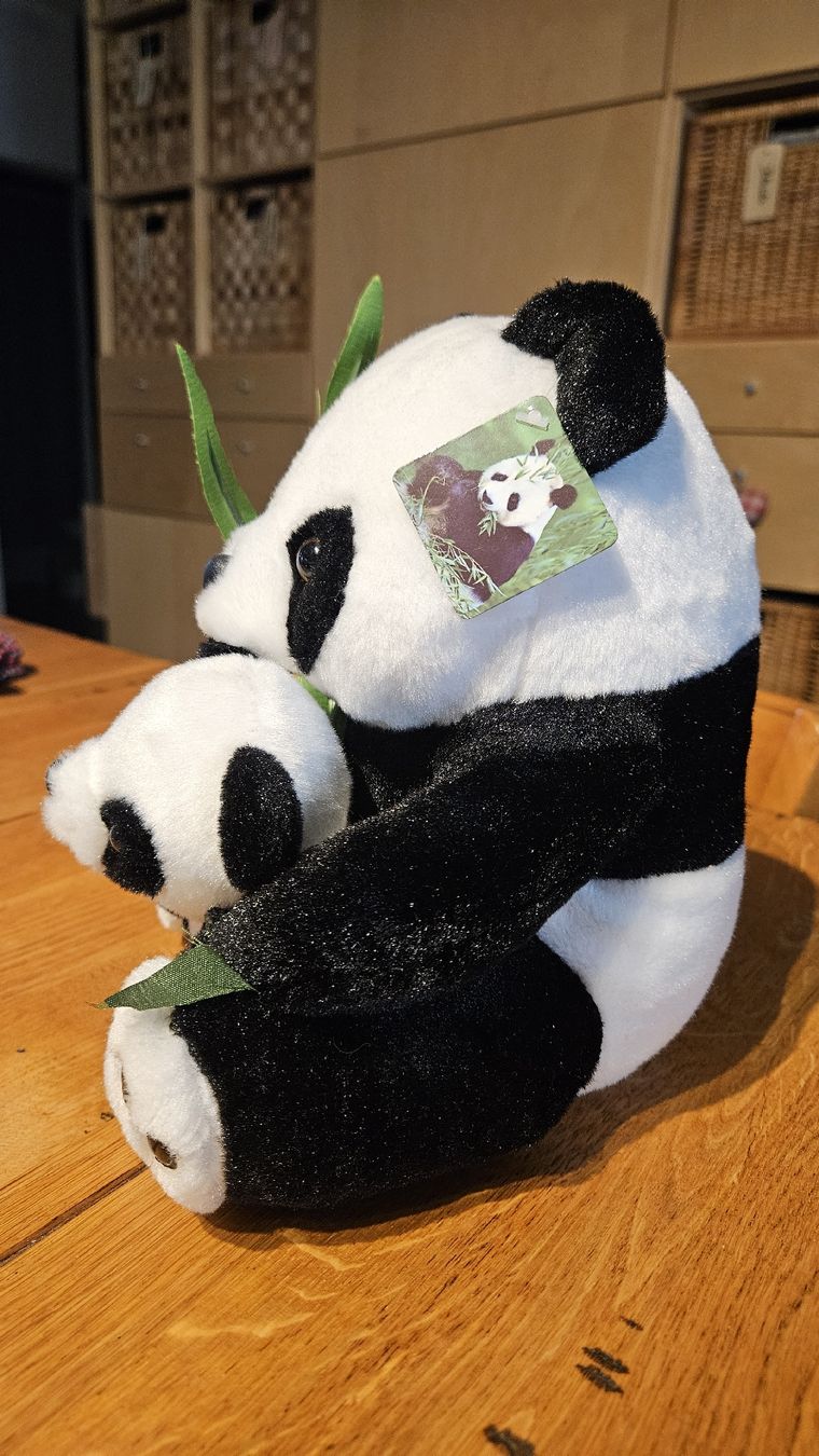 Jouets: Panda Plüschtier / Peluche – Neuf (Voir description) à Dintikon par Zaza_Lolo 2