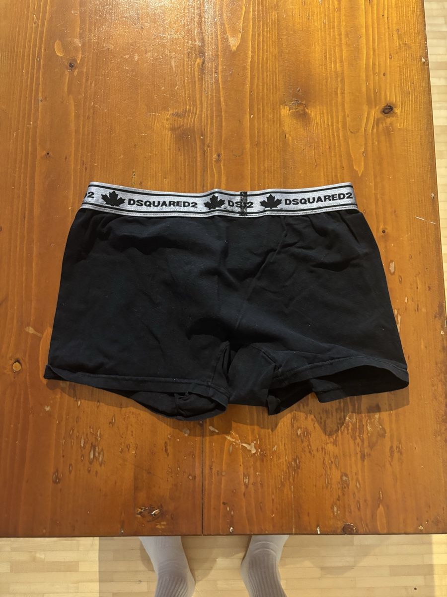 Dsquared2 Biancheria intima: Dsquared2 original Unterhose Gr. S – Usato da Oberentfelden venduto da ced_8sjq 2
