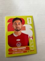 Panini World Cup 2026