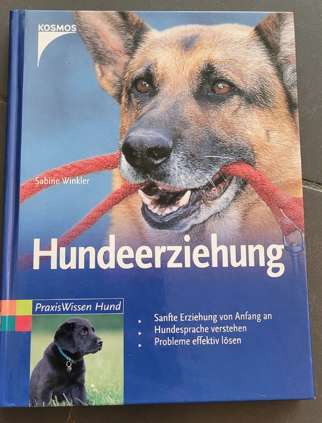 Libri: Buch Hundeerziehung  – Usato da Kappel SO venduto da Matschi86