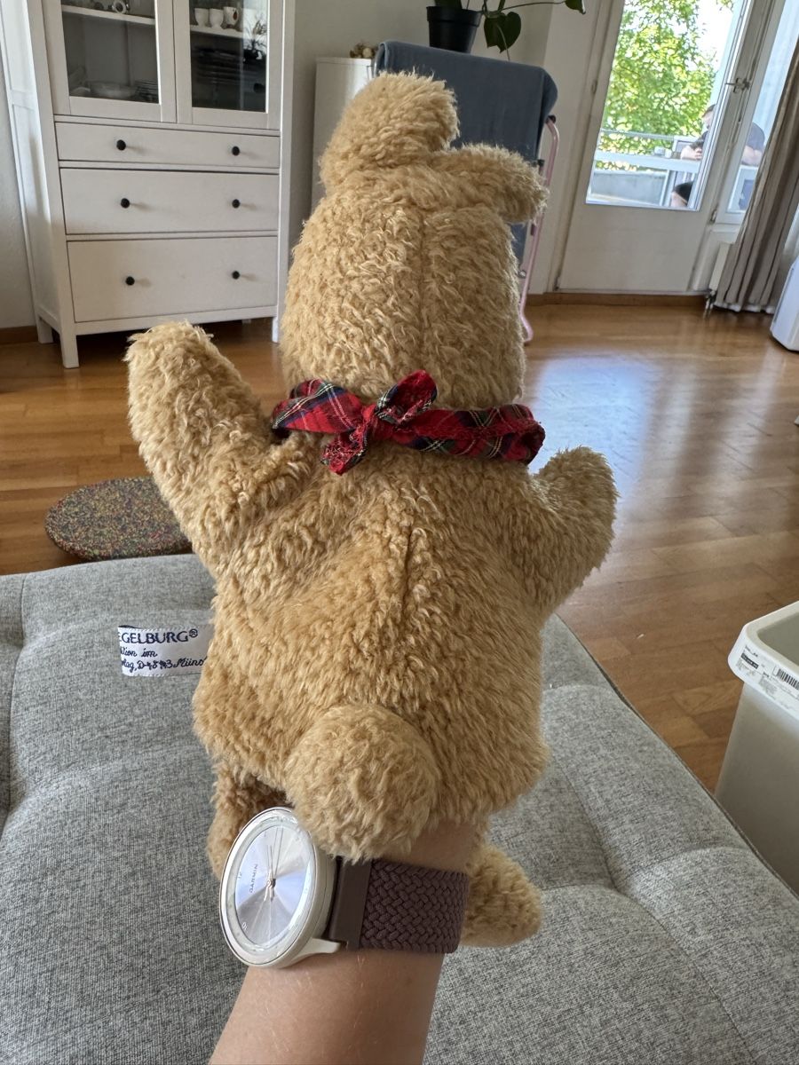 Giocattoli: Felix Handpuppe - Spiegelburg  – Usato da Dierikon venduto da FraeuleinMaus17 1