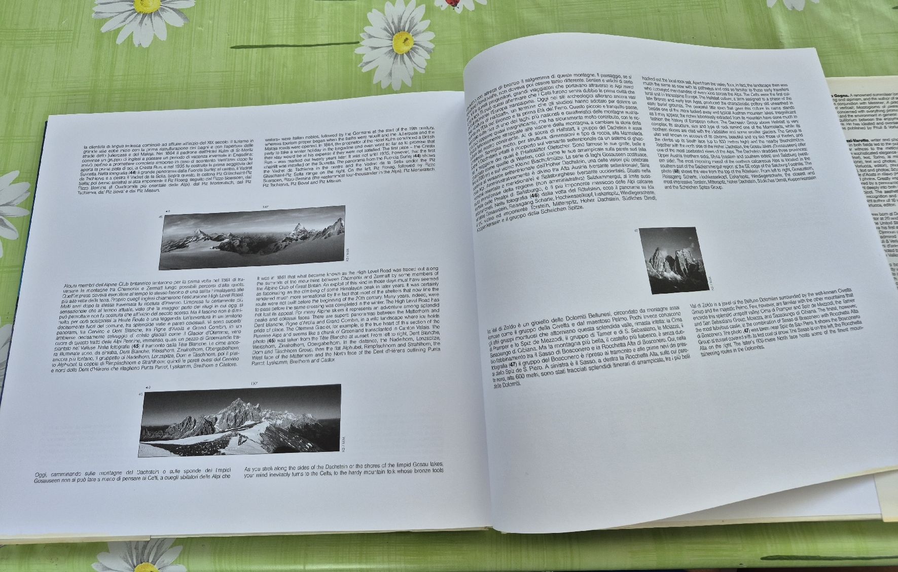 Libri: Bellissimo libro " Le Alpi" Italiano ed inglese – Usato da Lostallo venduto da Barshei79 2