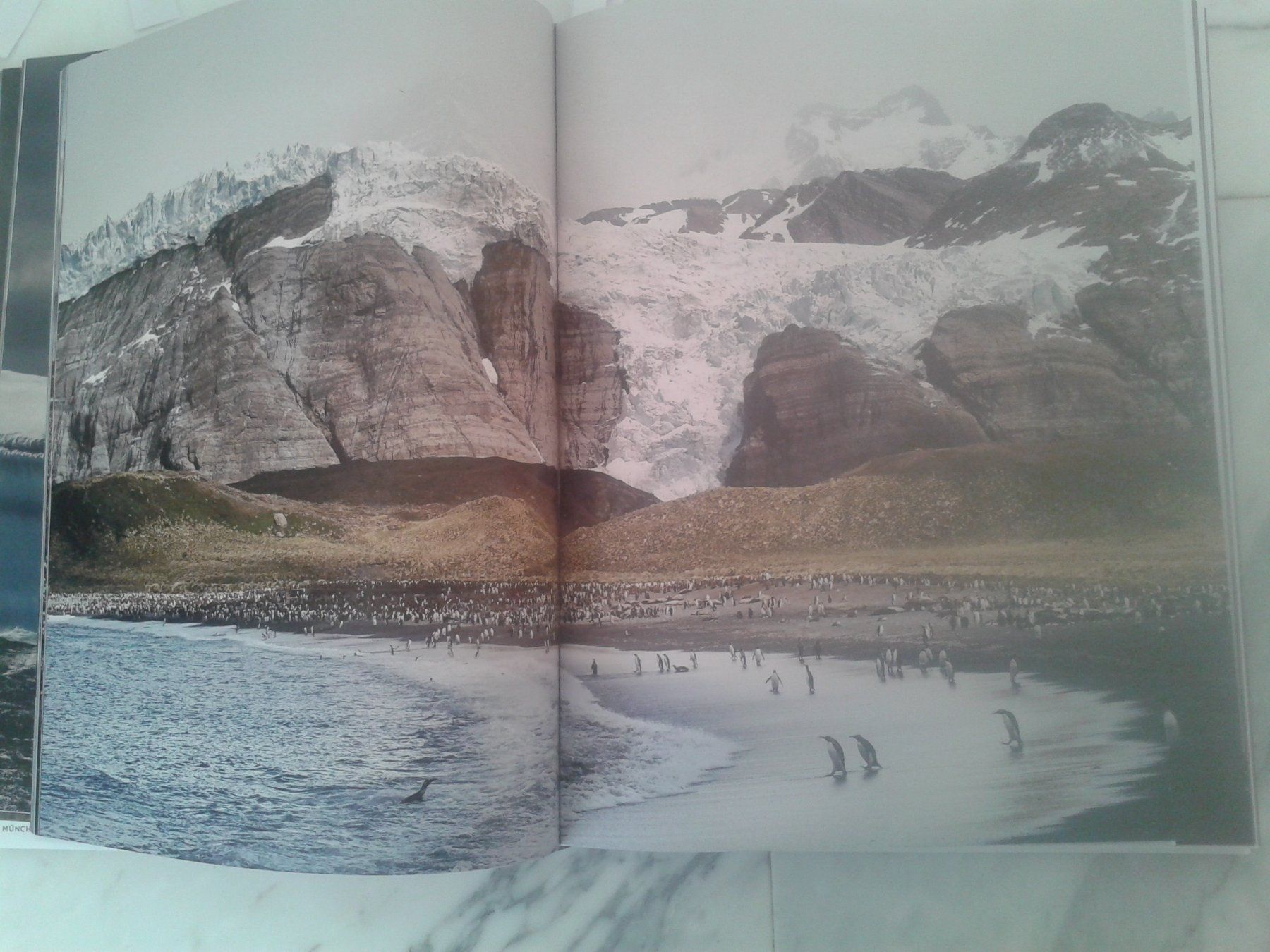 Libri: einzigartiger Bildband WILDES LAND – Nuovo (secondo la descrizione) da Camorino venduto da Campellino 1