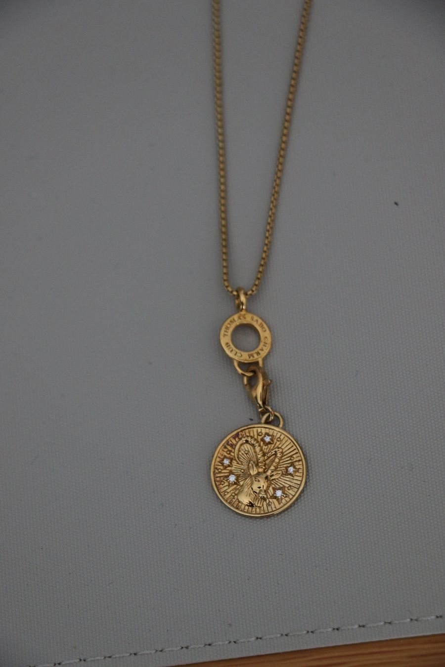 Thomas Sabo Catenine: Thomas Sabo Kette mit Steinbockanhänger – Usato da Männedorf venduto da Topojasa 1