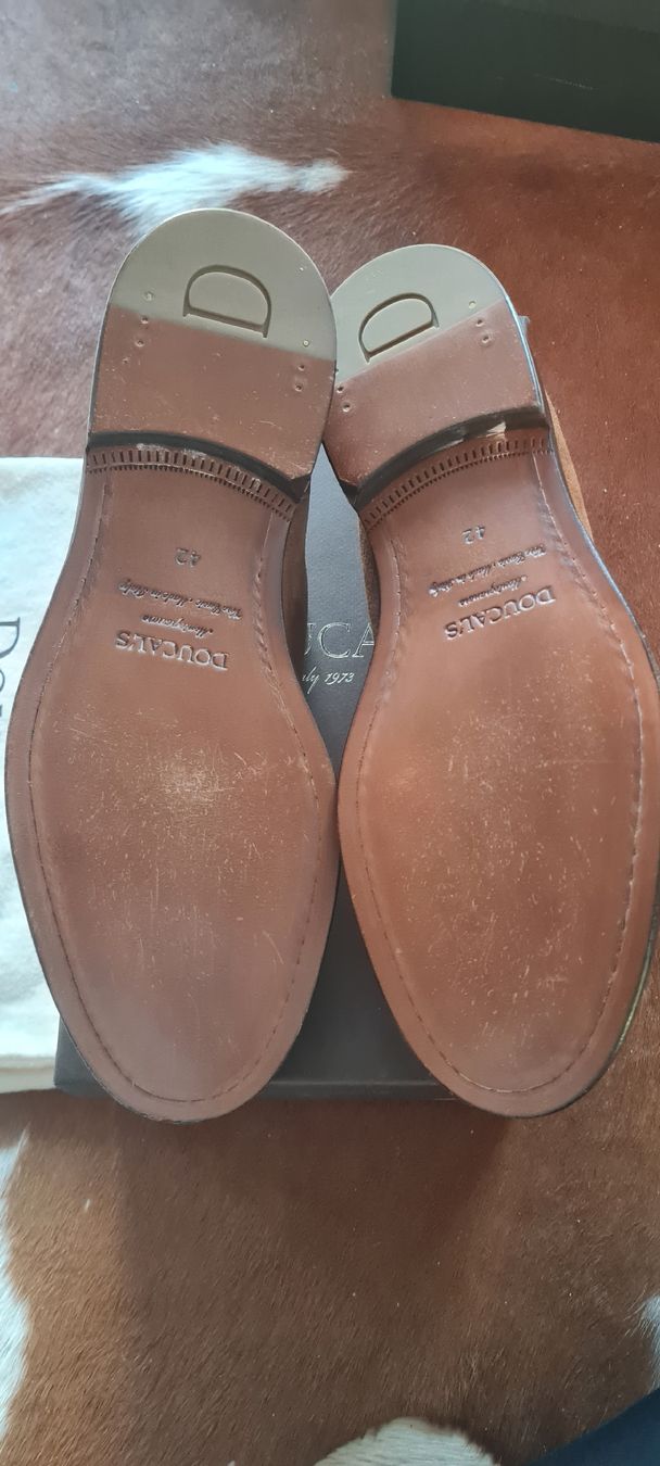 Scarpe da uomo: Doucals Schuh Wildleder 42 – Nuovo e nell'imballaggio originale da Altendorf venduto da nab_mxj7 2