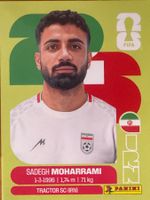 Panini IRN9