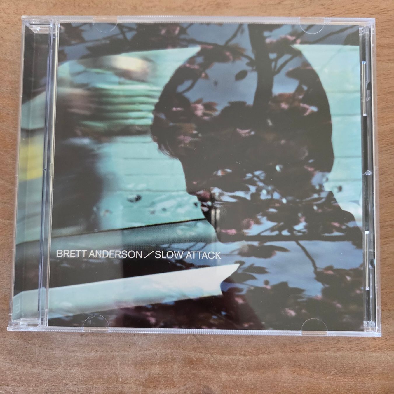 CD: Brett Anderson (Suede) - Slow Attack – Nuovo (secondo la descrizione) da Olten venduto da clayrout