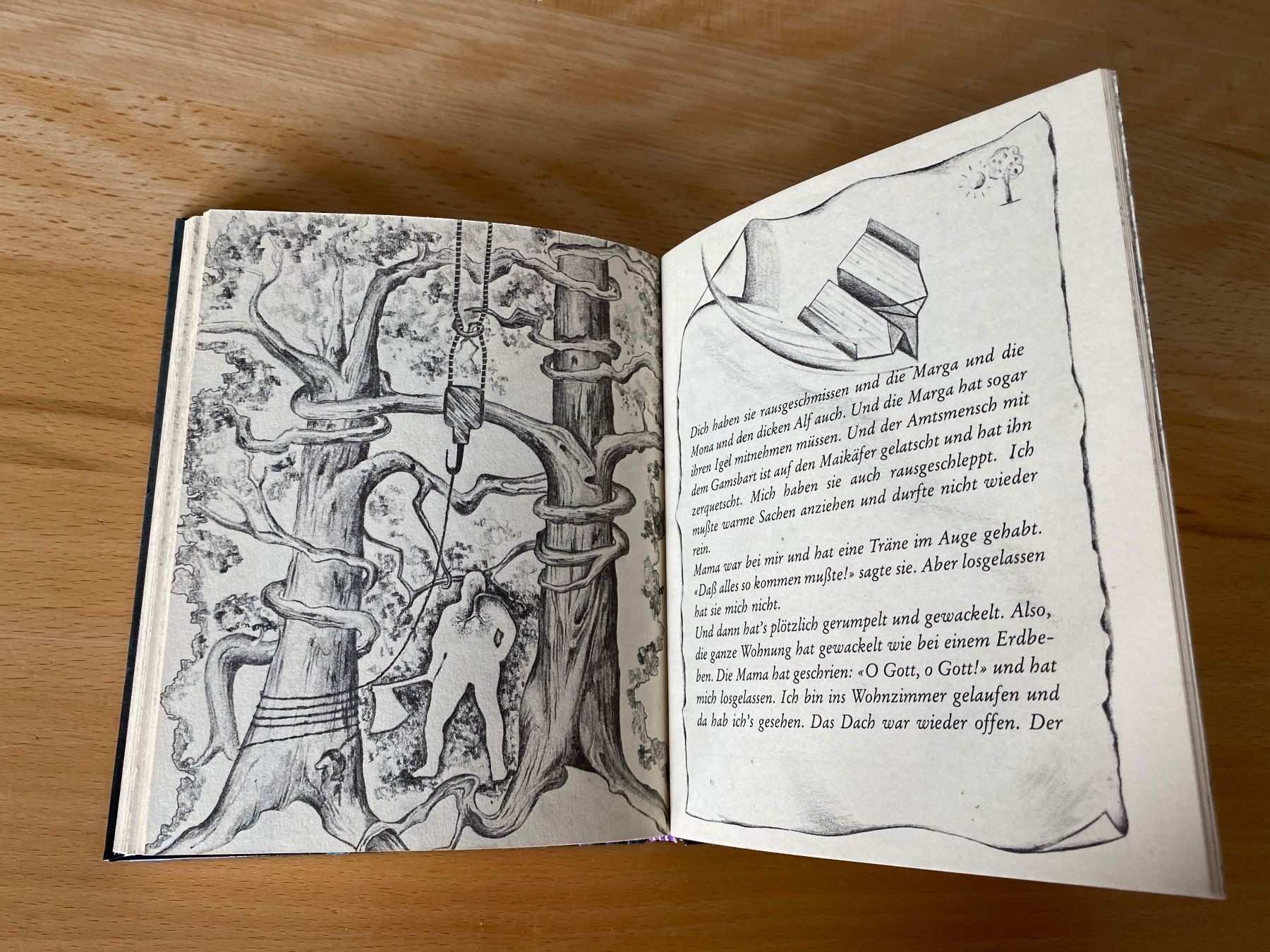 Libri: Der Wald unterm Dach - Rudolf Herfurtner – Usato da Schwarzenburg venduto da Michellu 8