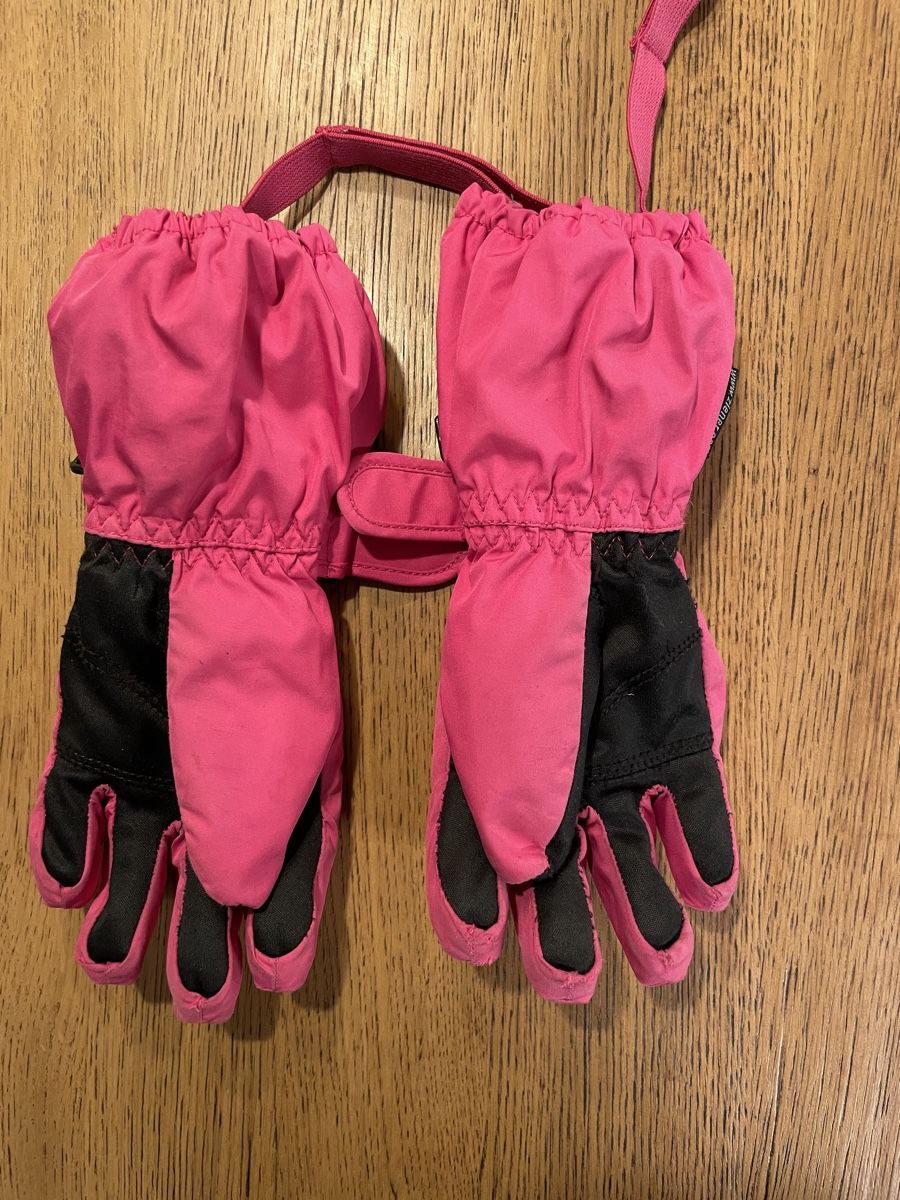 Guanti: Handschuhe Ziener – Usato da Brunegg venduto da kiki_faca 2
