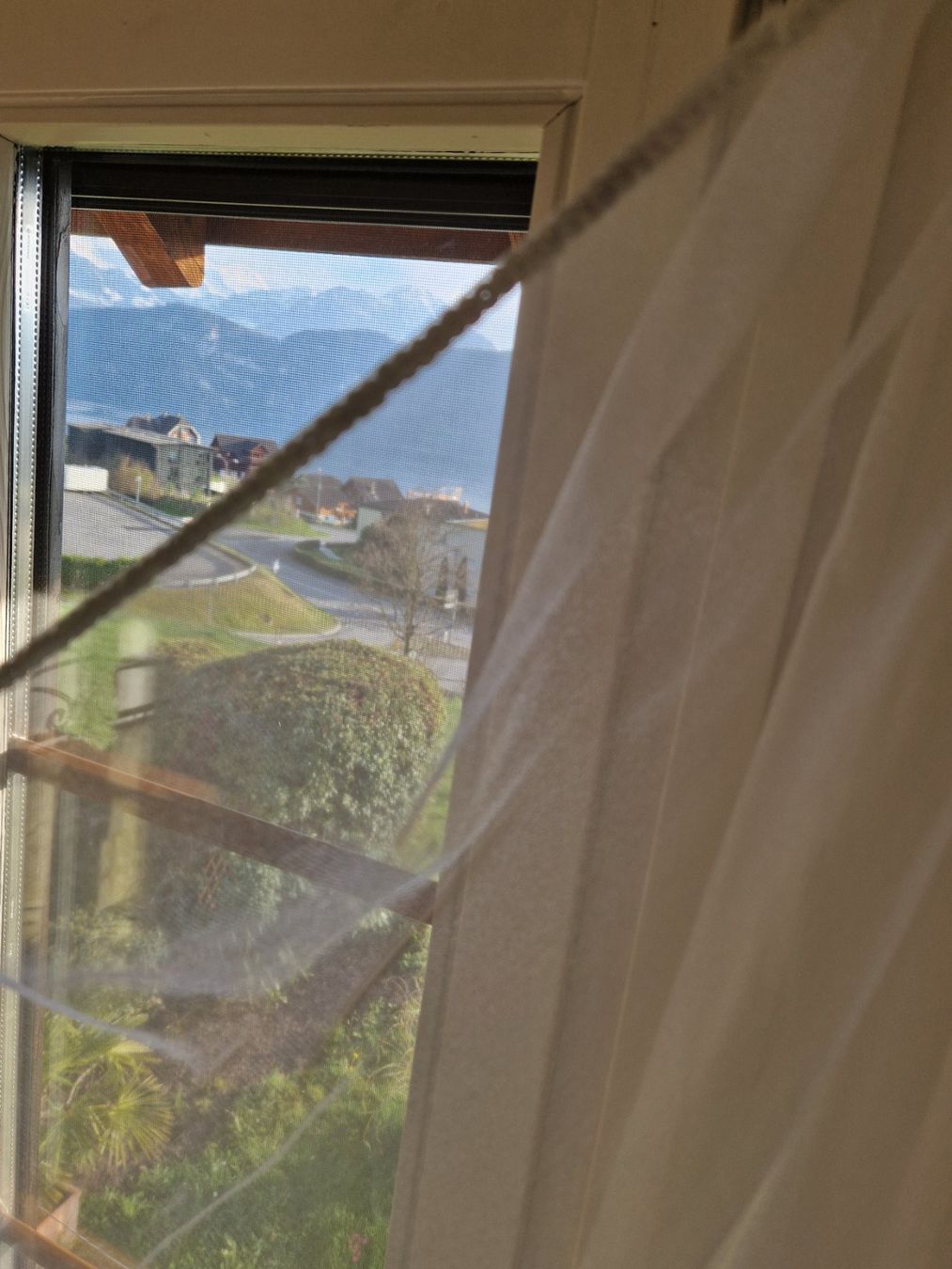 Costumi: Bauchtanzschleier weiss mit Silberumrandung – Usato da Weggis venduto da Oswadan 1