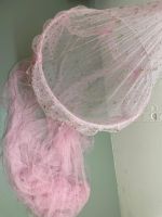Dossel demoiselle rosa