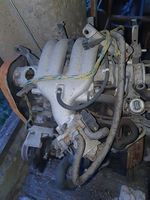 Motore Renault 5