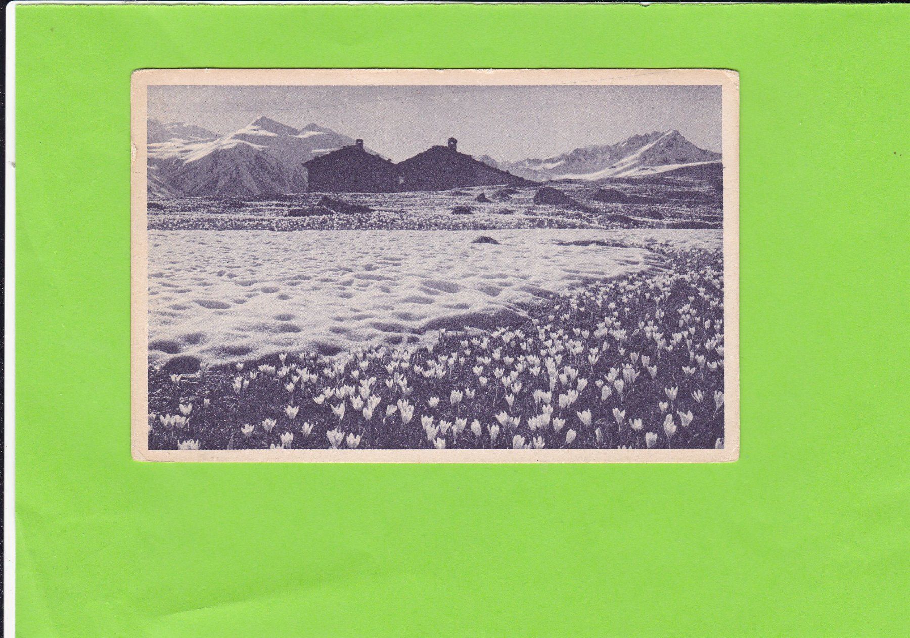 Cartoline postali: Bergfrühling – Usato da St. Peterzell venduto da neckertal