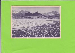 Bergfrühling