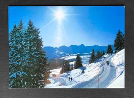 AK Arosa Arlenwaldstrasse